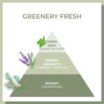 ⁦اموس قناع ترطيب الشعر بالشاي الأخضر 02 - 250 مل⁩ - الصورة ⁦2⁩