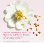 ⁦كلارنس مرطب شفاه ملون⁩ - الصورة ⁦2⁩