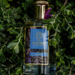 ⁦ذا وودز كوليكشن عطر ازور - او دو برفيوم⁩ - الصورة ⁦2⁩