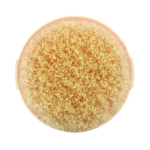 ⁦فرشاة جافة دائرية من ايكوتولس⁩ - الصورة ⁦4⁩