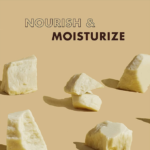 ⁦لوشن مرطب للجسم بزبدة الشيا الخام من شيا مويستشر - 384مل⁩ - الصورة ⁦4⁩