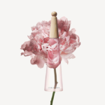 ⁦إيسي مياكي لو ديسي بيفوين - او دو تواليت انتنس⁩ - الصورة ⁦2⁩