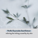 ⁦كريم ترطيب سيراميد أتو المركز من اليون - 200مل⁩ - الصورة ⁦4⁩