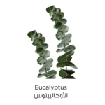 ⁦غسول منظف بالطين النقي من لوريال - 150مل⁩ - الصورة ⁦3⁩