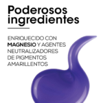 ⁦شامبو سيلفر للشعر الرمادي أو الأبيض أو الأشقر الفاتح من لوريال بروفيشنال - 300مل⁩ - الصورة ⁦3⁩