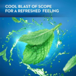 ⁦شرائح فيل كول معطرة للفم بنكهة النعناع من بيبر منتس - 24 شريحة⁩ - الصورة ⁦4⁩