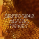 ⁦غارنييه ماسك الترا دو بالعسل الملكي و البروبوليس - 340مل⁩ - الصورة ⁦2⁩