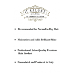 ⁦ال صالون ماسك تصفيف بالبروتين للشعر العادى والجاف - 250 مل⁩ - الصورة ⁦3⁩