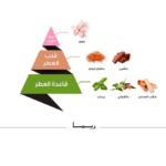 ⁦عطر ريما كلاسيك من الماجد للعود - او دي برفيوم⁩ - الصورة ⁦2⁩