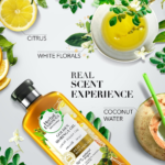 ⁦هيربال إيسنسز بيو رينيو بلسم نعومة زيت مورينغا الذهبي - 400 مل⁩ - الصورة ⁦3⁩