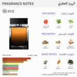 ⁦دولتشي اند جابانا عطر ذا ون للرجال - او دو بارفيوم⁩ - الصورة ⁦2⁩