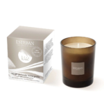 ⁦استيبان باريس ريف بلانك شمعة معطرة قابلة لإعادة التعبئة - 170 جم⁩ - الصورة ⁦2⁩