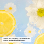 ⁦إي أو إس مرطب الشفاه العضوي الطبيعي 100% بزبدة الشيا بنكهة البابونج - قطعتين⁩ - الصورة ⁦2⁩