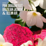 ⁦سول دي جانيرو رذاذ عطر شيروسا 68 - 90مل⁩ - الصورة ⁦2⁩