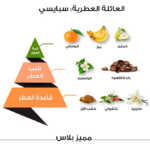 ⁦الماجد للعود مميز بلس كلاسيك - او دي بارفيوم⁩ - الصورة ⁦2⁩
