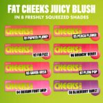 ⁦نيكس بلاشر أحمر خدود سائل فات تشيكس جوسي⁩ - الصورة ⁦4⁩