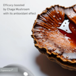 ⁦بيونيكس وايت إكسبرت كريم كونتور لشد العين - 15 مل⁩ - الصورة ⁦4⁩