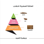 ⁦الماجد للعود عطر جوهرة العود - أو دو بارفيوم⁩ - الصورة ⁦2⁩