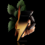 ⁦كارولينا هيريرا عطر باد بوي اكستريم للرجال - او دو بارفيوم⁩ - الصورة ⁦3⁩