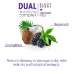 ⁦بلسم 2 تشيك لإصلاح الشعر التالف بالتوت وحليب جوز الهند من جيوفاني - 250 مل⁩ - الصورة ⁦3⁩