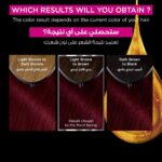 ⁦غارنييه صبغة الشعر اوليا دائمة وخالية من الامونيا - بني شوكولاته⁩ - الصورة ⁦6⁩