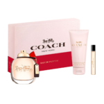 كوتش مجموعة نيويورك للنساء 3 قطع - او دو برفيوم