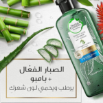 ⁦هيربال إيسنسز شامبو لتقوية الشعر بالصبار الفعال والبامبو - 400 مل⁩ - الصورة ⁦3⁩