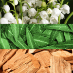 ⁦عطر كونتردكشن من كالفن كلاين للنساء - 100 مل - او دي بارفيوم⁩ - الصورة ⁦3⁩