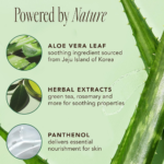 ⁦ذا فيس شوب جيجو فريش بالصبار غسول وجه رغوي - 150 مل⁩ - الصورة ⁦4⁩