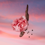 ⁦لويس فيتون عطر ليس سابلز روزيز - أو دو بارفيوم⁩ - الصورة ⁦3⁩