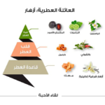 ⁦عطر لقاء الأحبة كلاسيك من الماجد للعود - او دي بارفيوم⁩ - الصورة ⁦2⁩