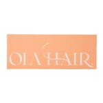 ⁦فرشاة تصفيف وتجفيف الشعر الاحترافية 2 في 1 من اولا هير - OL-1010⁩ - الصورة ⁦8⁩