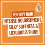 ⁦ماسك الشعر ايلفيف بزيت الجوجوبا من لوريال باريس - 300 مل⁩ - الصورة ⁦4⁩