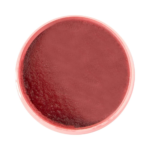 ⁦فاي ناتشورالز مقشر السكر الرغوي بالرمان والتوت - 600 جم⁩ - الصورة ⁦3⁩