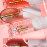 ⁦قلوس ملمع شفاه بلمبد اي اف من لوتي - كريستال كلير⁩ - الصورة ⁦5⁩