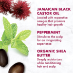 ⁦بلسم ليف ان بزيت الخروع الأسود الجامايكي لتقوية وتعزيز نمو الشعر من شيا مويستشر - 340مل⁩ - الصورة ⁦2⁩