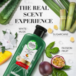 ⁦هيربال إيسنسز بلسم لحماية اللون بالصبار الفعال والمانجو - 400 مل⁩ - الصورة ⁦3⁩