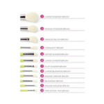 ⁦مجموعة فرش مكياج كولور فيستيفال من بي اتش - 12 فرشة⁩ - الصورة ⁦3⁩