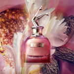 ⁦عطر سكاندال باي نايت من جين بول جولتير للنساء - او دي برفيوم انتنس⁩ - الصورة ⁦3⁩