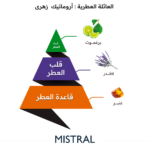 ⁦الماجد للعود عطر ماسترل - او دو تواليت⁩ - الصورة ⁦3⁩