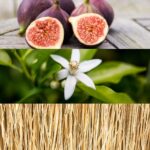 ⁦عطر ون جولد من كالفن كلاين - أو دو تواليت⁩ - الصورة ⁦4⁩