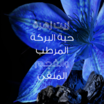 ⁦غارنييه بلسم الترا دو لتنقية ولمعان الشعر بخلاصة الفحم الأسود وزيت حبة البركة - 360مل⁩ - الصورة ⁦2⁩