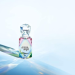 ⁦فكتوريا سيكرت عطر دريم انجل للنساء - او دي برفيوم⁩ - الصورة ⁦3⁩