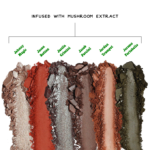 ⁦ذا بالم مجموعة ظلال العيون فن قاي⁩ - الصورة ⁦3⁩