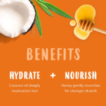 ⁦شامبو مغذي للاطفال من كانتو- 237 مل⁩ - الصورة ⁦2⁩