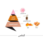 ⁦الماجد للعود عطر الخاص - أو دو بارفيوم⁩ - الصورة ⁦2⁩