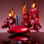 ⁦كالفن كلاين ماي يوفوريا للنساء - او دو برفيوم⁩ - الصورة ⁦3⁩