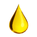 ⁦زيت شعر ايلفيف للشعر المصبوغ من لوريال باريس - 100 مل⁩ - الصورة ⁦2⁩