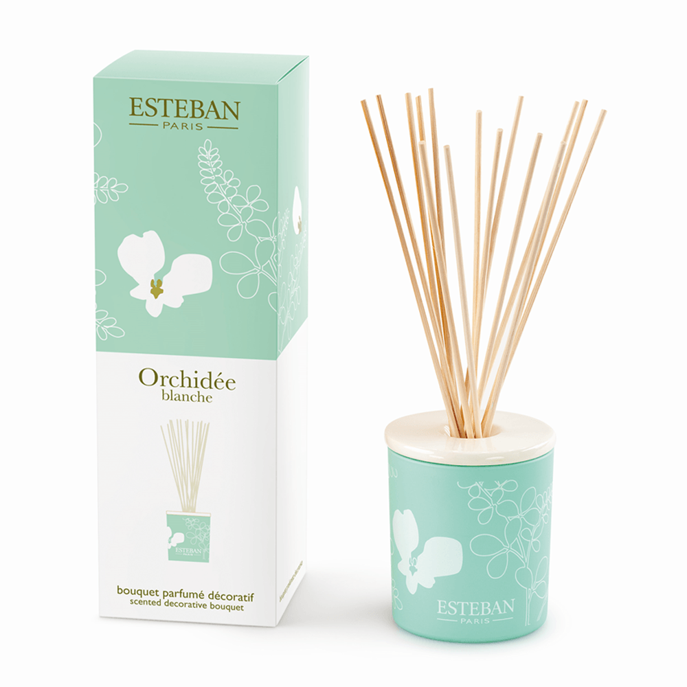 76311423_1748347117_6f8db7d3c294906b9f3b46b6fd053b53 استيبان باريس اوركيد بلانك بوكيه الأعواد المعطرة بغطاء سيراميكي - 100 مل - الصورة 1