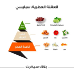 ⁦عطر بلاك سيكرت كلاسيك من الماجد للعود - او دي بارفيوم⁩ - الصورة ⁦2⁩